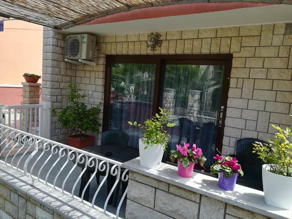 Apartment Jacky Rovigno Esterno foto